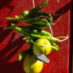 Seven Bizarre Indian Beliefs Every Tourist Must Know