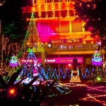 Best Places to Celebrate Christmas in India
