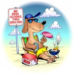 Tips for Travelling with Pets