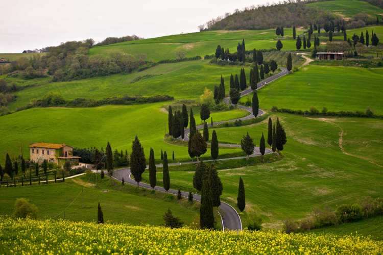 tuscany_culinary_tour_countrybred