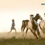 10 Road Trip Movies that Inspired Us to Travel