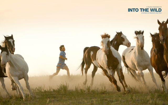 10 Road Trip Movies that Inspired Us to Travel