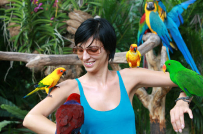 16 Things You Absolutely Must do in Singapore