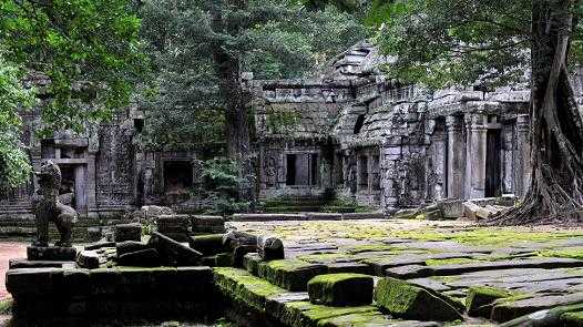 1Ta Prohm Temple, Siem Reap