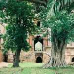 What to do on a date during a Lodi Garden heritage walk