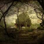 Sunday mornings with a Belizean lass in Mehrauli Archaeological Park