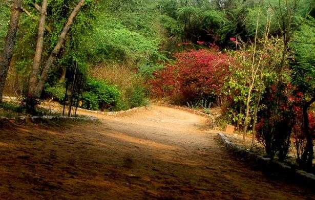 mehrauli archaeological park heritage walks delhi