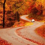 19 Spectacular Roads That Will Make You Forget The Destinations