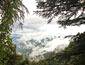 /images/Destination_image/Shimla/85x65/View-from-the-ridge,-Shimla.jpg