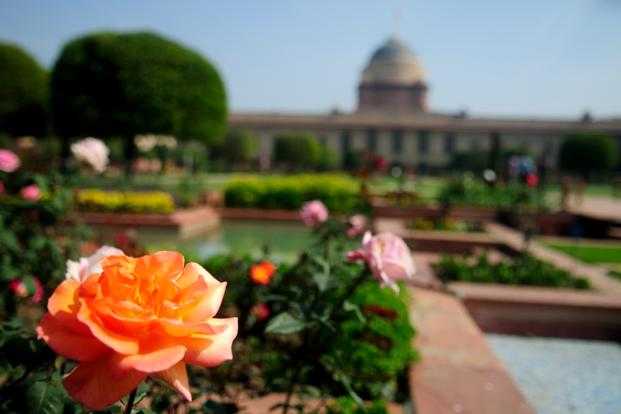 More than 120 varieties of roses grow at the gardens