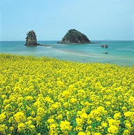 Jeju Island (Korea)