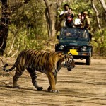25 Amazing Tourist Places to Visit in India Before You Die