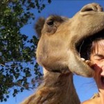 Best Travel Photobombs