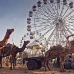 A Traveler’s Guide to The Pushkar Camel Fair