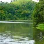 The Land of the Bamblimoos: Wayanad