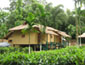 /images/Hotel_image/Kaziranga/Nature Hunt - Eco Camp/Hotel Level/85x65/Exterior-View-1-Nature-Hunt---Eco-Camp,-Kaziranga-National-Park.jpg