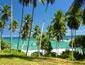/images/Destination_image/Colombo/85x65/Beautiful-Palm-Grove,-Colombo,-Sri-Lanka.jpg