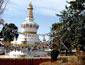 /images/Destination_image/Dharamshala/85x65/Dharamsala-Norbulingka-Monastery,-Dharamshala.jpg
