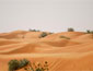 /images/Destination_image/Fujairah/85x65/Fujairah-desert,-Fujairah,-United-Arab-Emirates.jpg