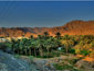 /images/Destination_image/Fujairah/85x65/Palm-trees,-Fujairah,-United-Arab-Emirates.jpg