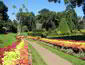 /images/Destination_image/Kandy/85x65/Peradeniya-Gardens,-Kandy,-Sri-Lanka.jpg