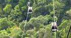 Cable car lines above dense forests in Langkawi, Malaysia